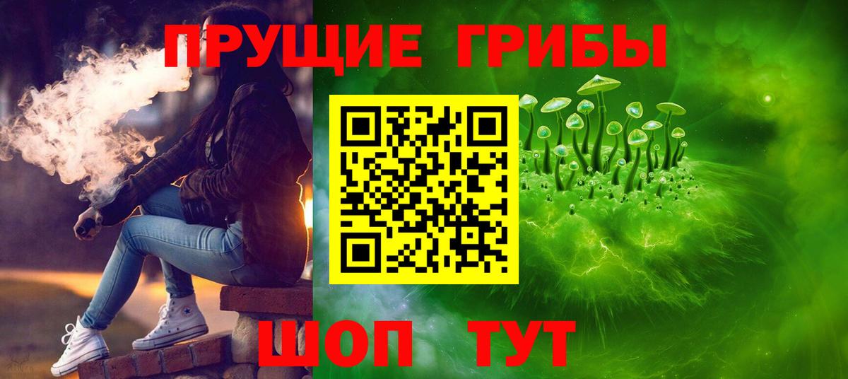 Галлюциногенные грибы GOLDEN TEACHER  Вход с VPN  Удомля 