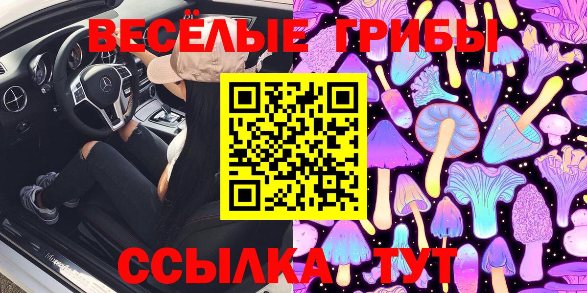 Псилоцибиновые грибы мухоморы Удомля